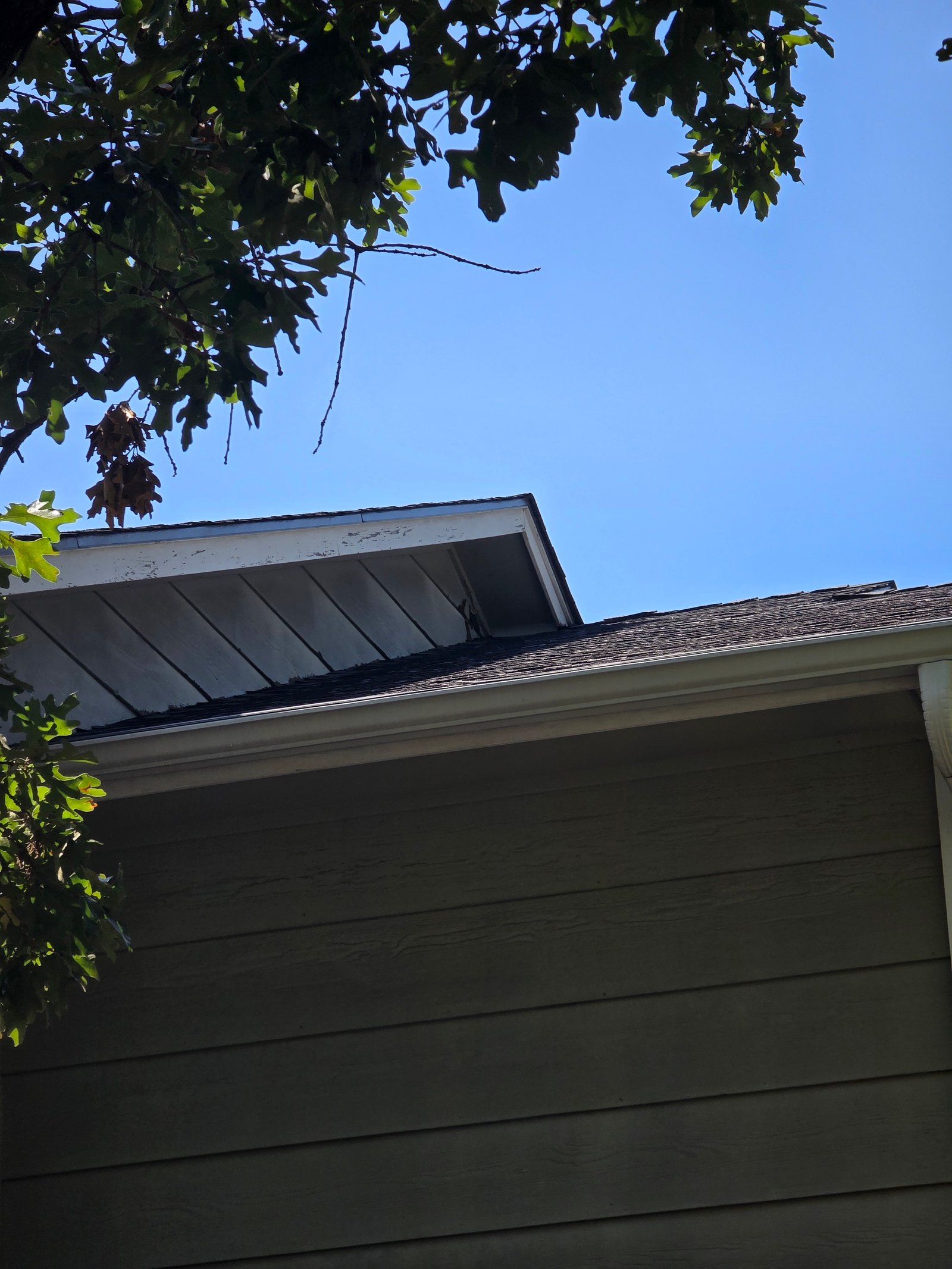 Exterior painting project gallery - Project 130 - Image 16