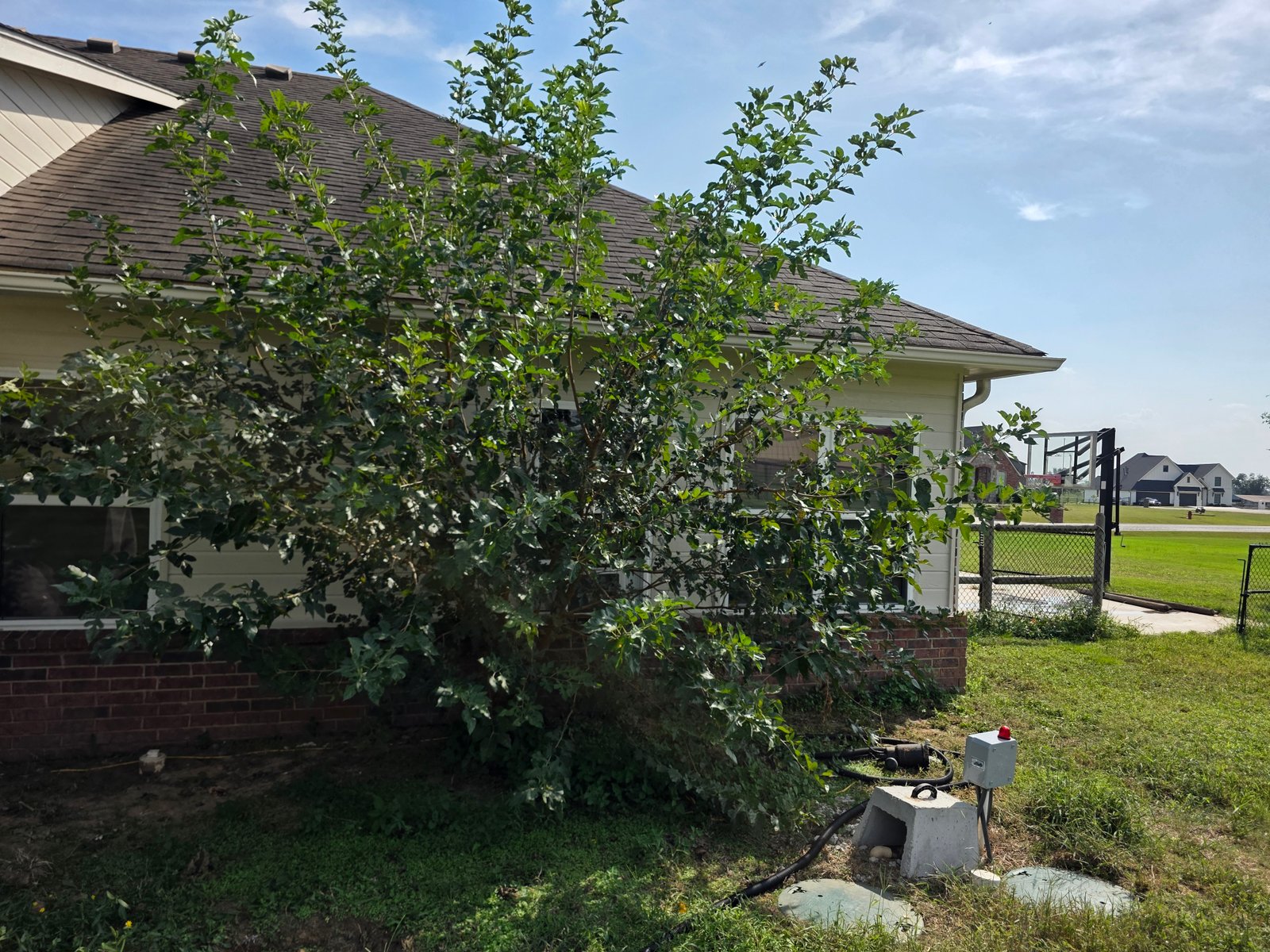 Exterior painting project gallery - Project 136 - Image 25